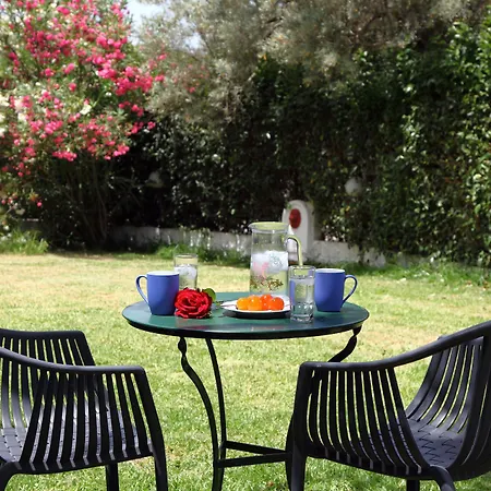 Summer House Louisa Apartmán Lygia (Lefkada)