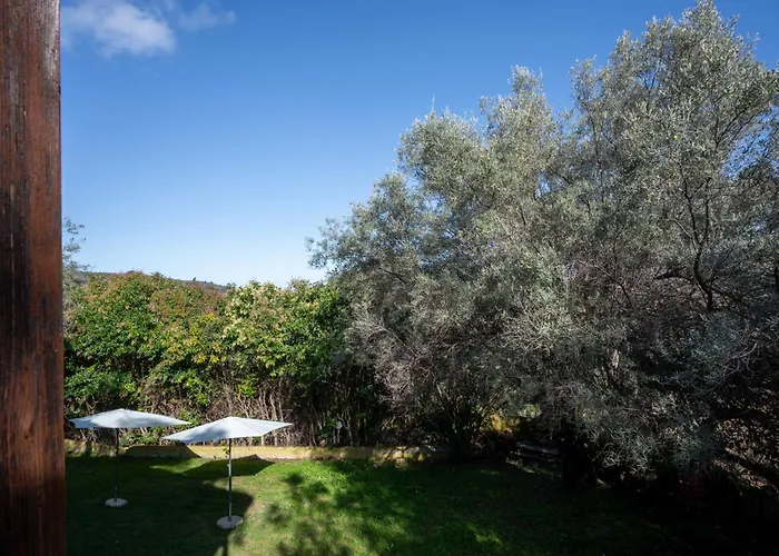 Apartment Summer House Louisa *